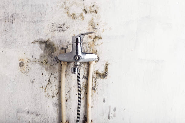 Best Mold Removal and Inspection  in Madison Center, CT