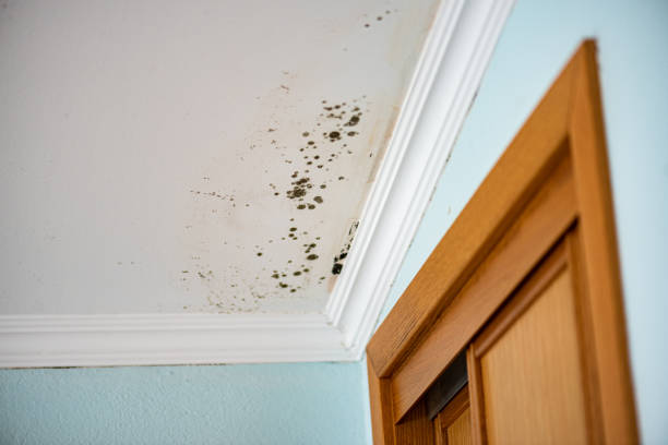 Water Damage Restoration in Madison Center, CT